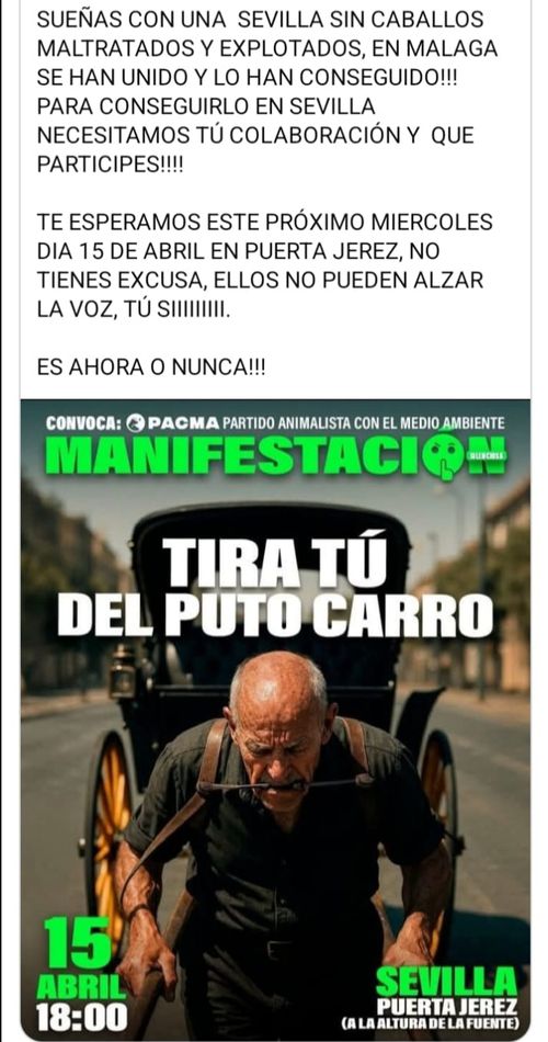Stop coches de caballos