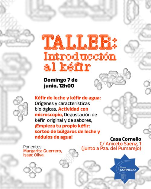Taller Introducción al Kefir (agua y leche)