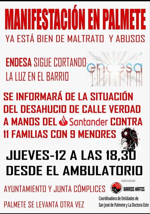 MANIFESTACIÓN EN PALMETE CORTES DE LUZ